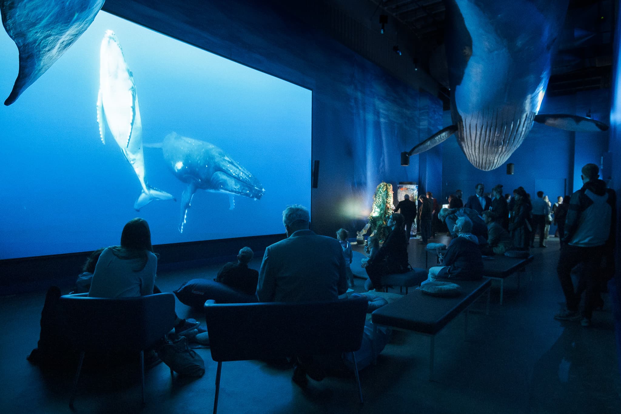 Whale Watching & Whales of Iceland Museum - photo 8