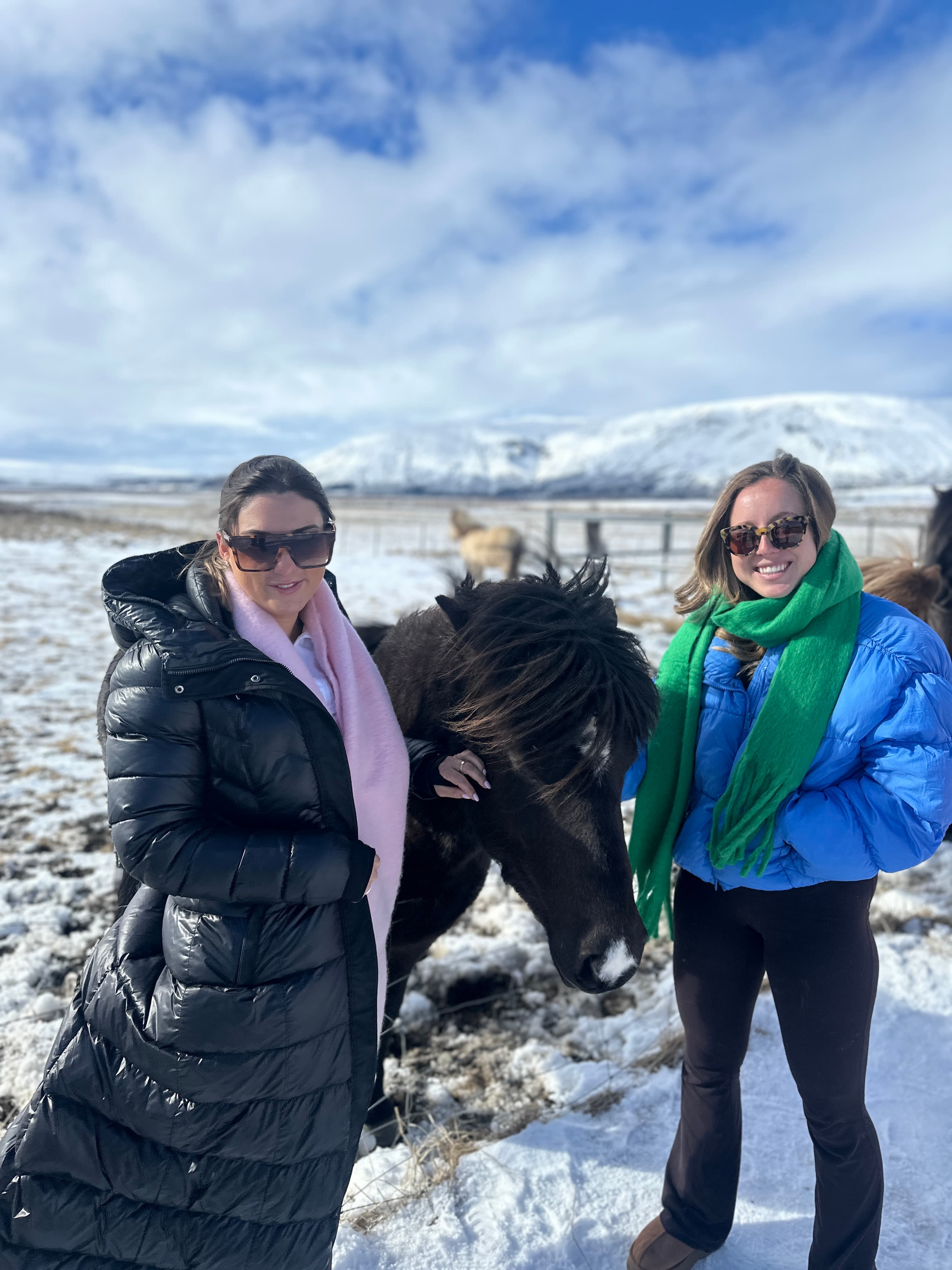 Golden Circle Private Tour with Secret Lagoon from Reykjavik - photo 4