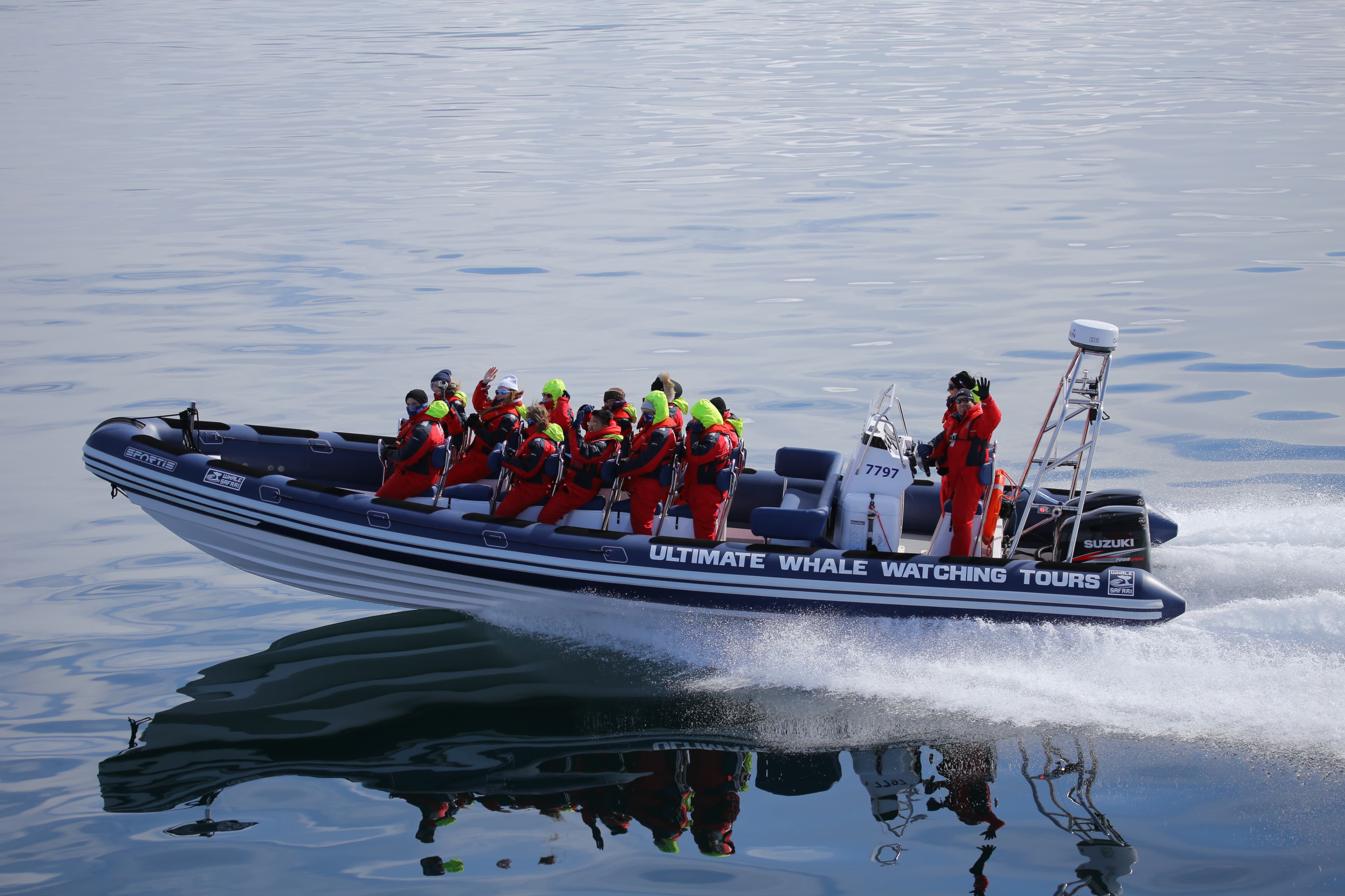 Whales, Puffins & Reykjavík - photo 16