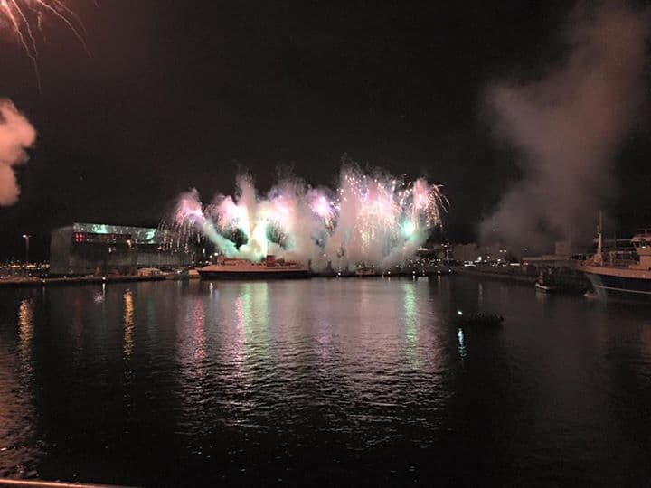 Reykjavík New Year's Eve Celebration at Sea - photo 11