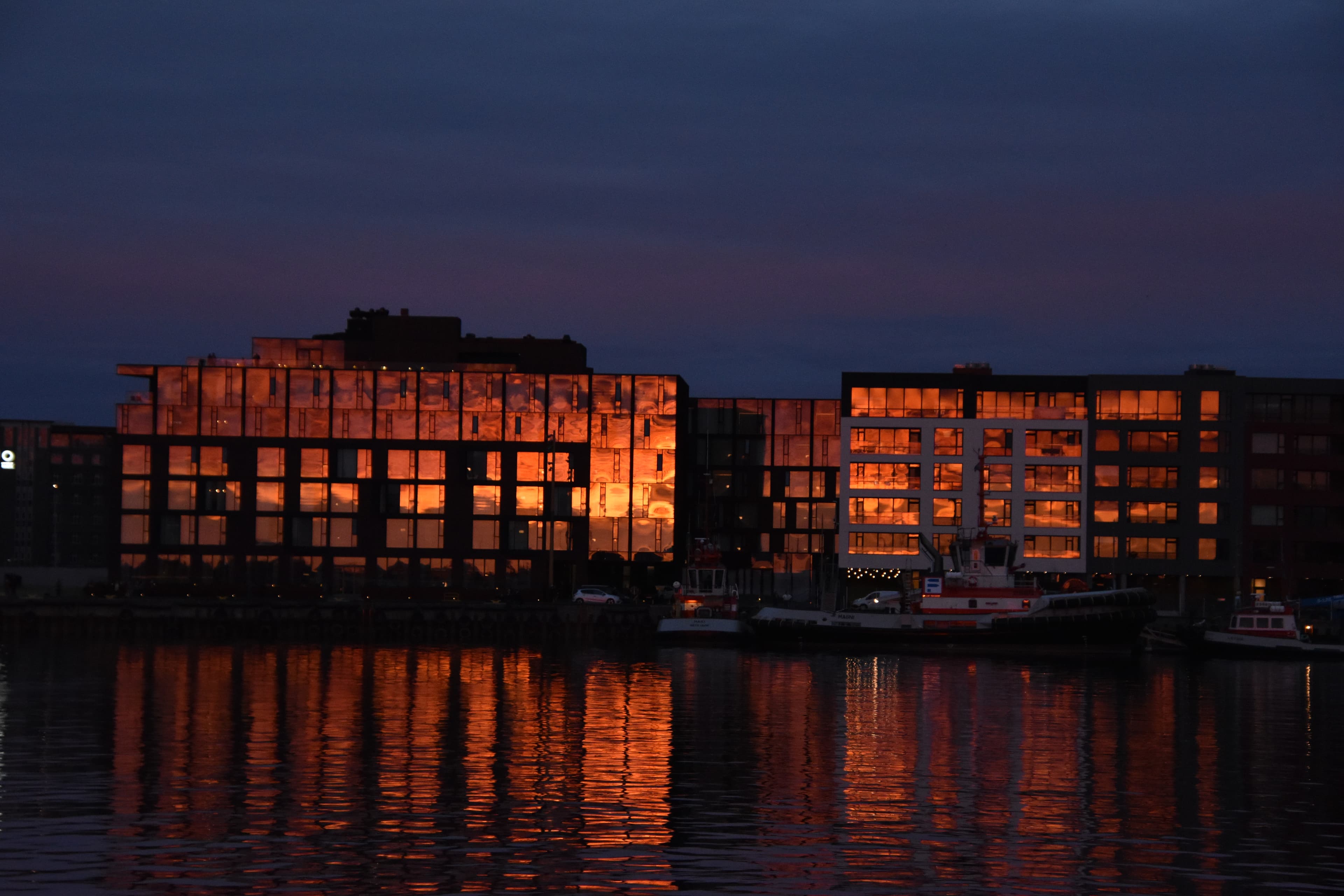 Reykjavík Premium Whales in the Midnight Sun - photo 28