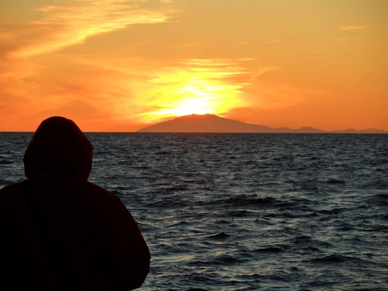 Reykjavík Classic Whales in the Midnight Sun - photo 16