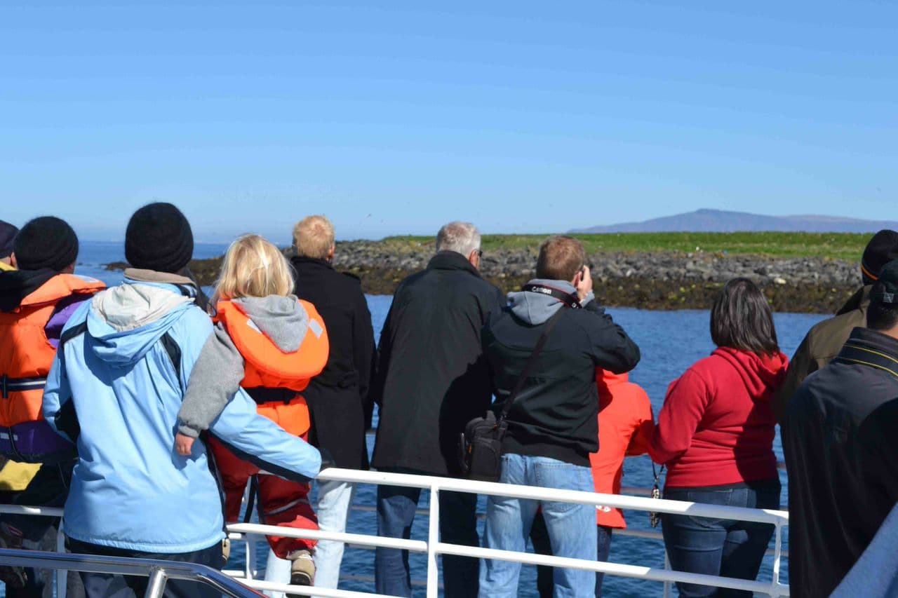 Reykjavík Classic Puffin Watching - photo 16