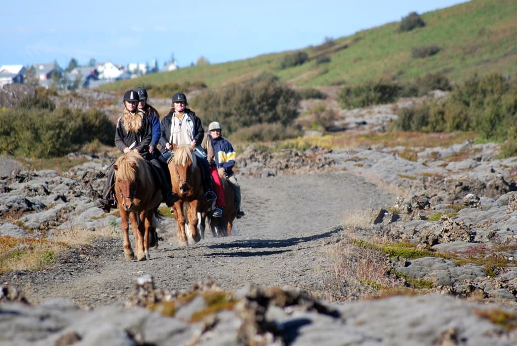 Lava Tour - Horseback Riding through the Lava Fields - photo 17