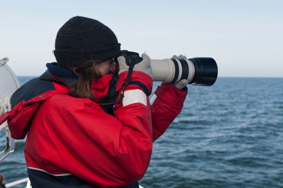 Reykjavík Classic Whale Watching  - photo 21