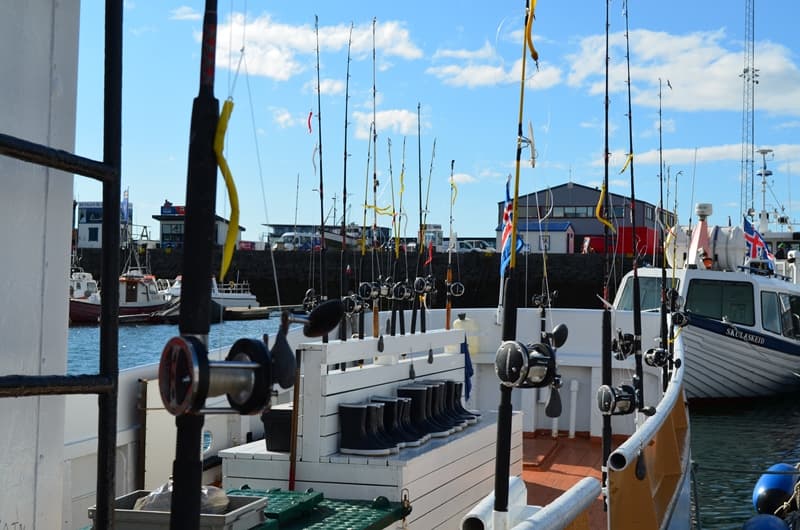 Sea Angling - photo 3