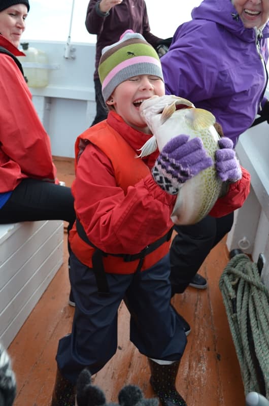 Sea Angling - photo 5