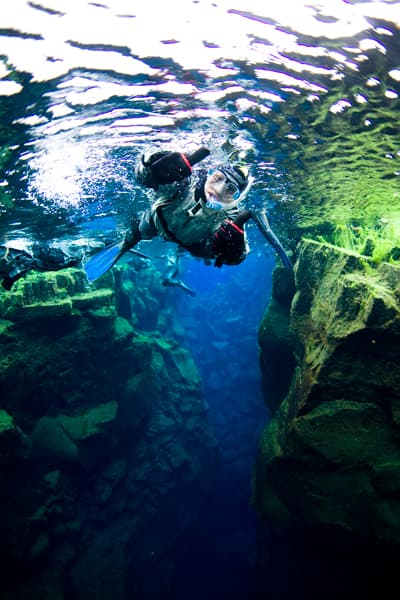 Horse Riding & Snorkeling from Reykjavik