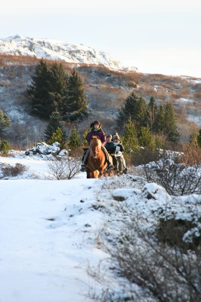 Fast Lava - ATV and horseback riding - photo 7