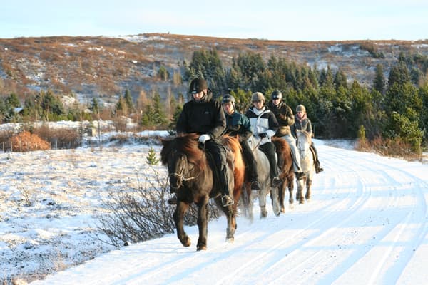 Fast Lava - ATV and horseback riding - photo 5