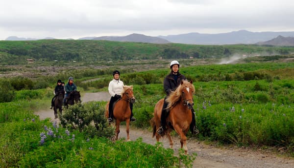 Fast Lava - ATV and horseback riding - photo 8