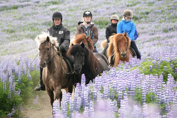 Fast Lava - ATV and horseback riding - photo 12