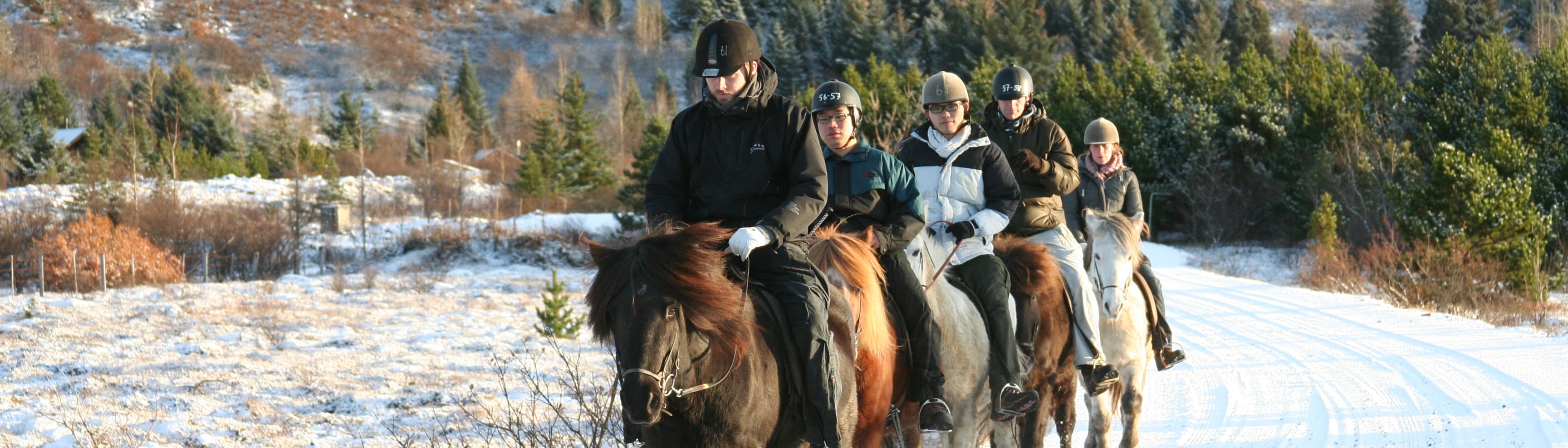 Fast Lava - ATV and horseback riding - photo 27
