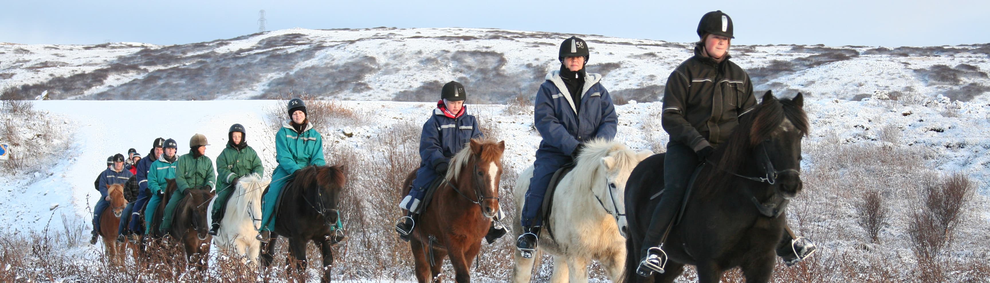 Fast Lava - ATV and horseback riding - photo 28