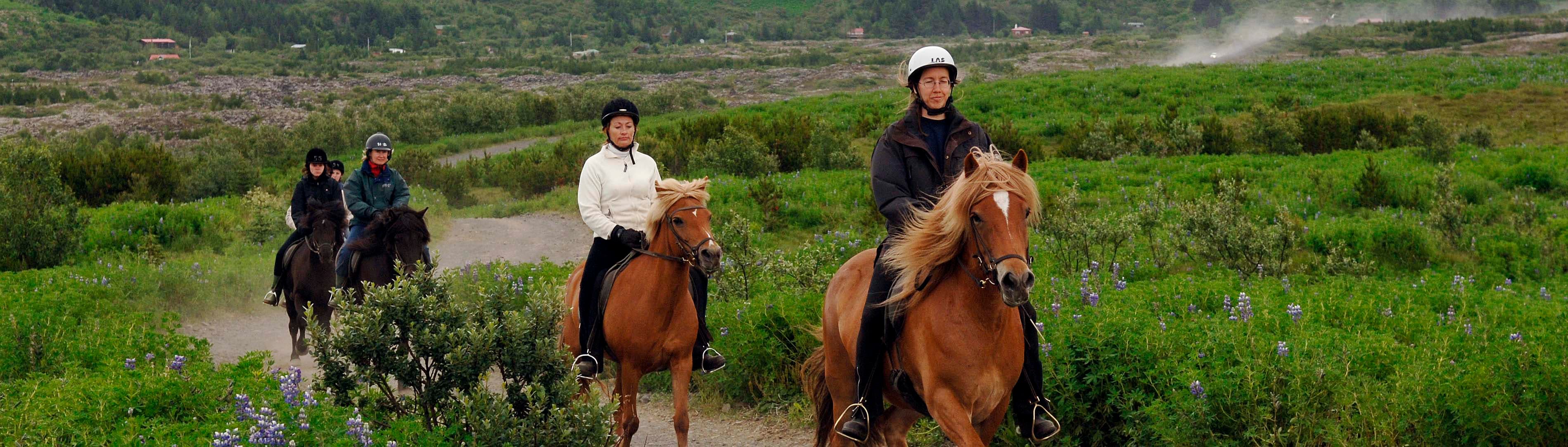 Fast Lava - ATV and horseback riding - photo 29