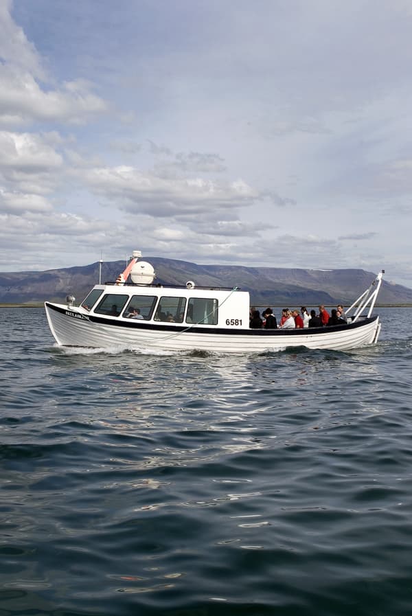 Puffin Express - photo 5