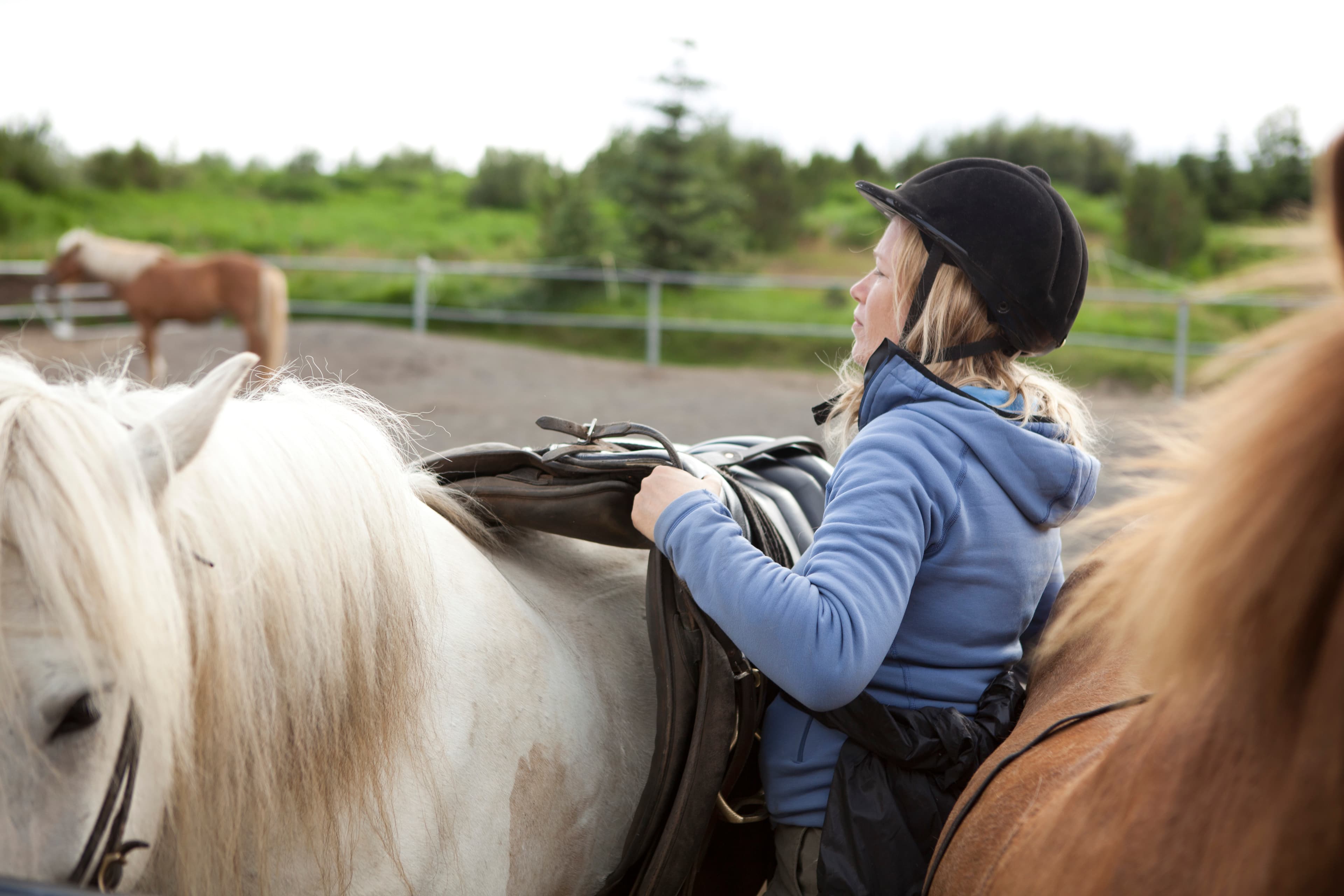 Lava Tour - Horseback Riding through the Lava Fields - photo 14
