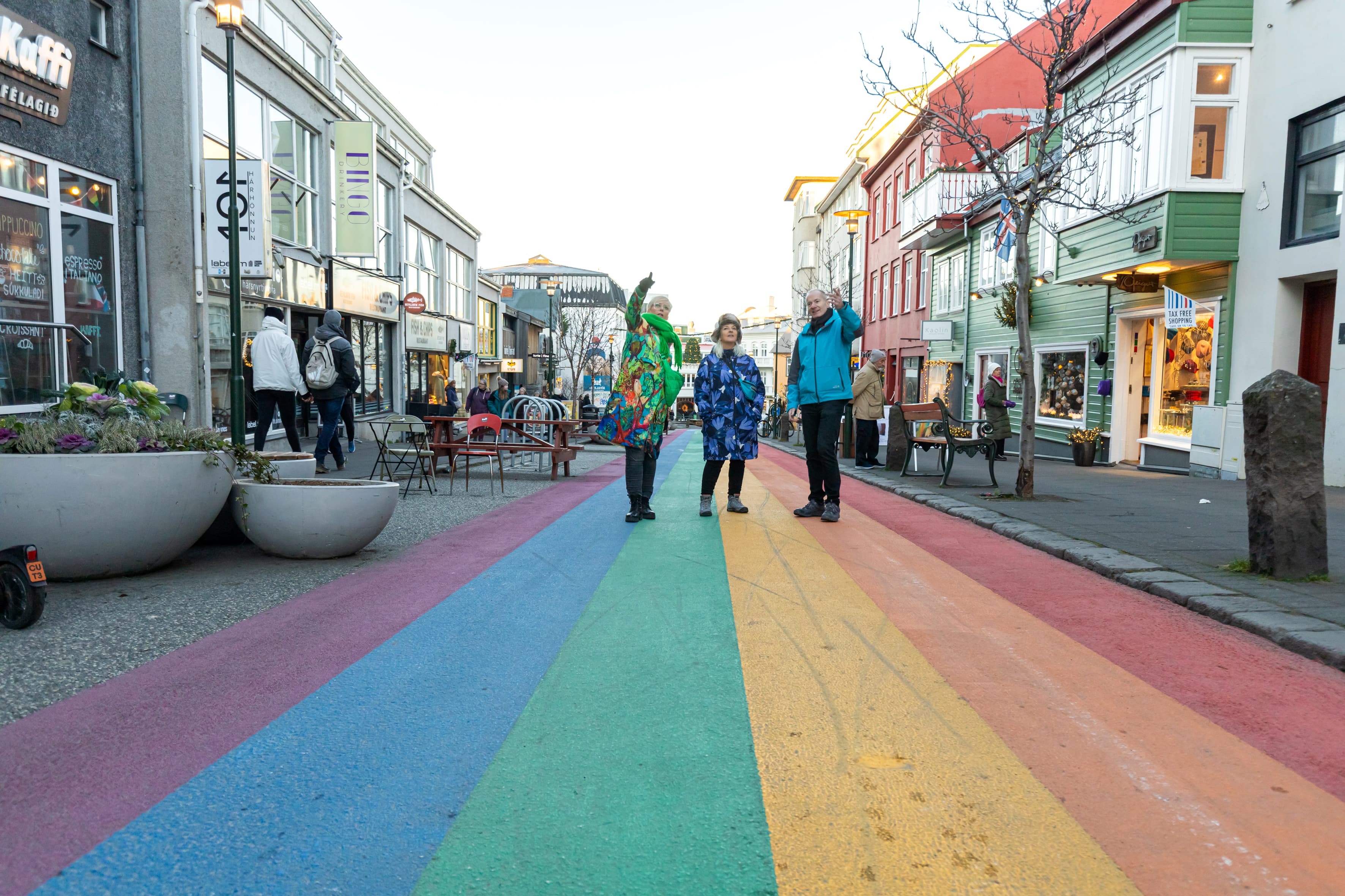 Private Reykjavik Street Art & Photo Friendly Walking Tour