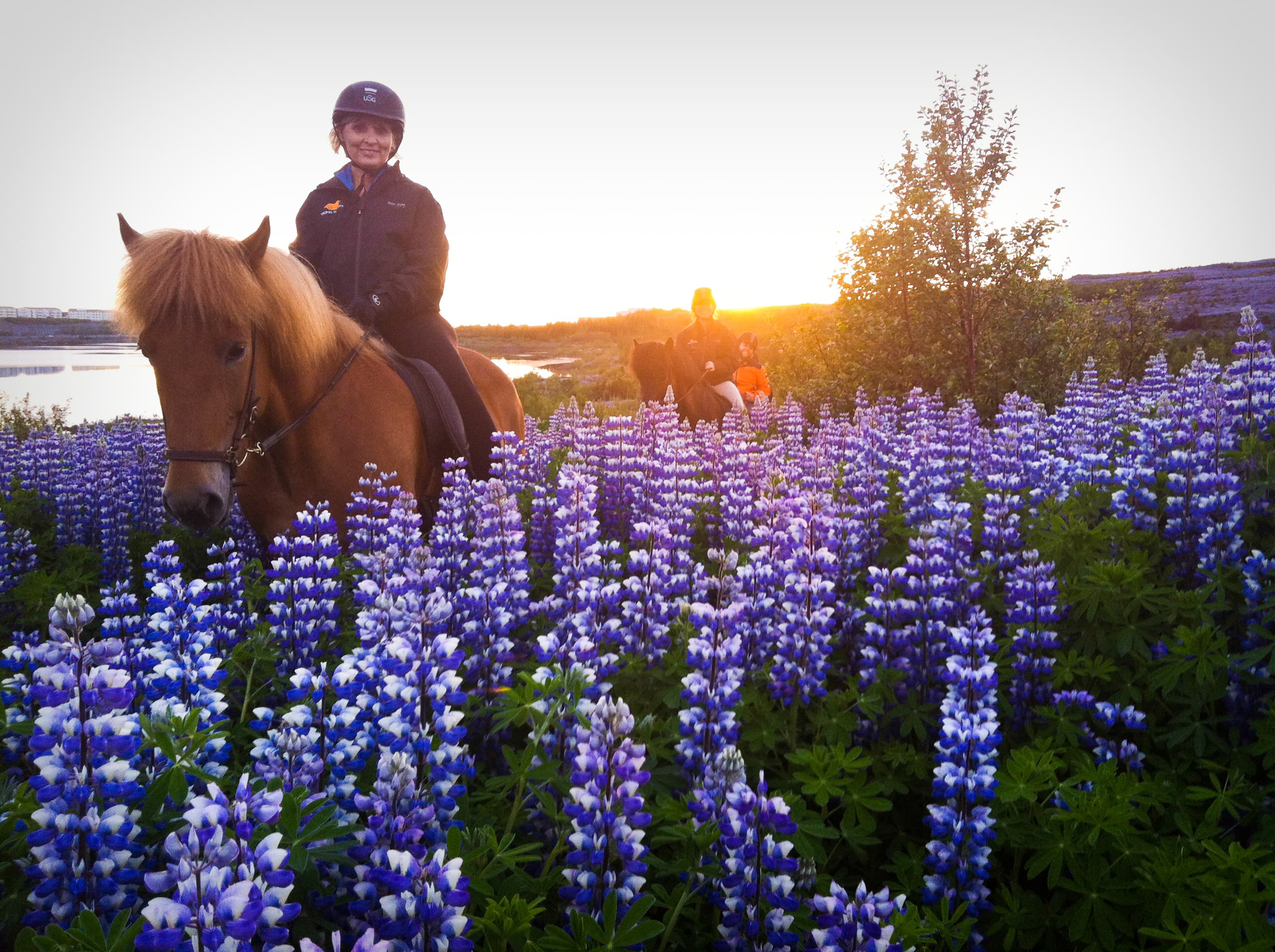 Viking Horses Sleipnir Evening Tour