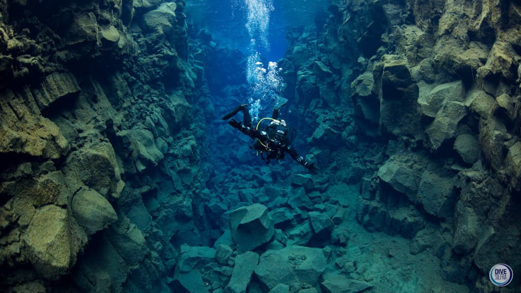 The Tectonic Dive Day Tour
