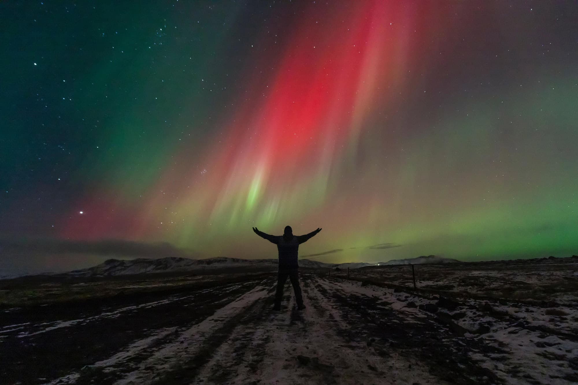 Northern Lights in Mini Bus with Local Pastries, Hot Chocolate and Photos